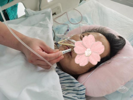 圖片6